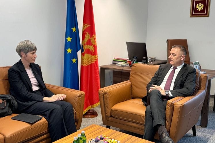 Gutić i Paniklova: Partnerstvom ka jačanju socijalnih poliitka