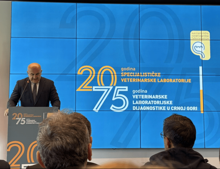 gallery.media[0].alt