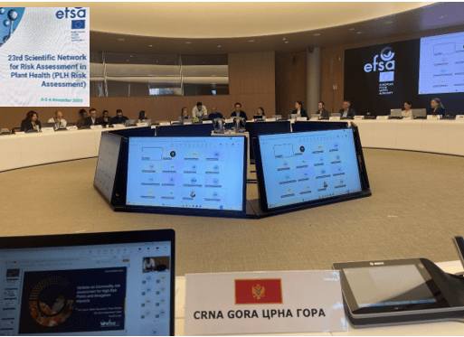 gallery.media[0].alt