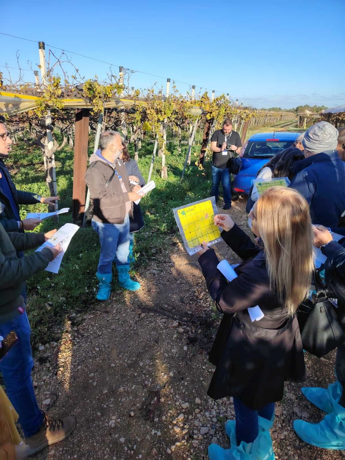 gallery.media[0].alt