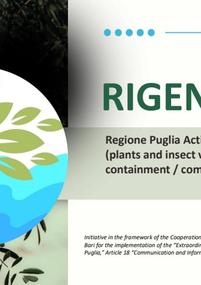 RIGENESI_PALMISANO_Regione Puglia Action Plan: Sampling  (plants and insect vectors); Eradication /  containment / compensation, Xylella fastidiosa