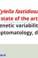 Boscia_RIGENESI_Xylella fastidiosa: State of the art genetic variability, hosts, symptomatology, distribution