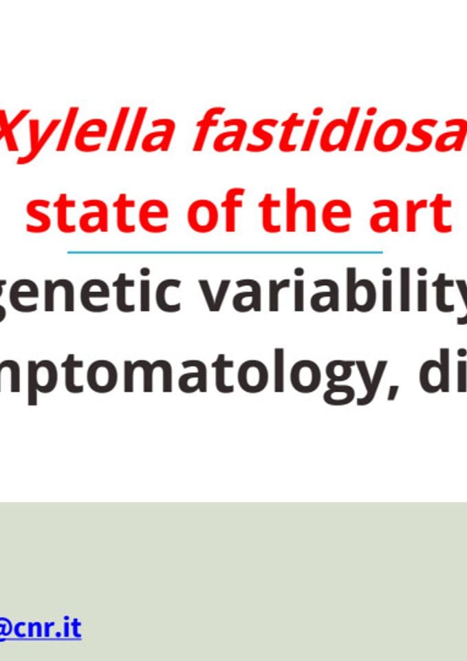 Boscia_RIGENESI_Xylella fastidiosa: State of the art genetic variability, hosts, symptomatology, distribution