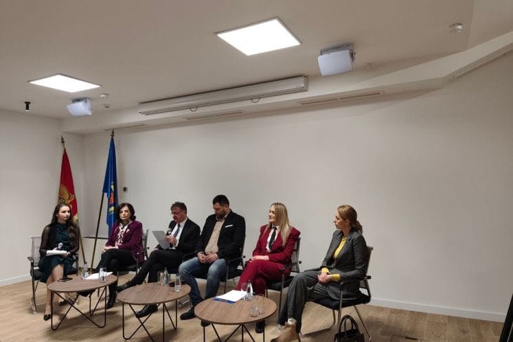 Potpredsjednik Vlade dr Budimir Aleksić učestvovao na panelu povodom Međunarodnog dana djeteta