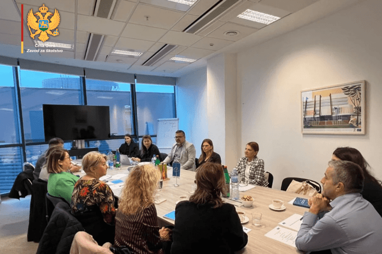 Međunarodna saradnja