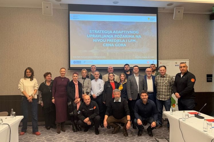 Upravljanje požarima