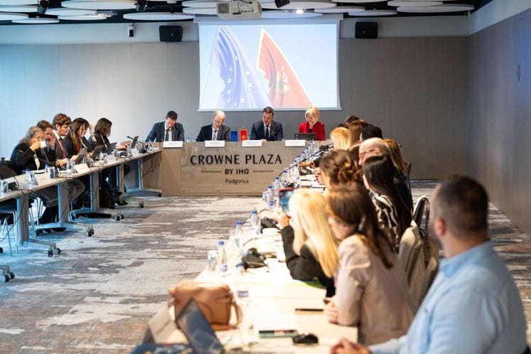 Podobora za ekonomska i finansijska pitanja i statistiku između Evropske unije i Crne Gore Podobora za ekonomska i finansijska pitanja i statistiku između Evropske unije i Crne Gore