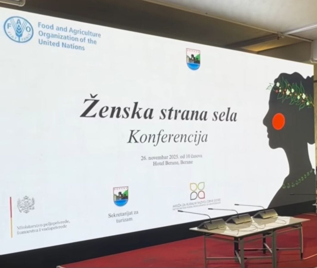 gallery.media[0].alt