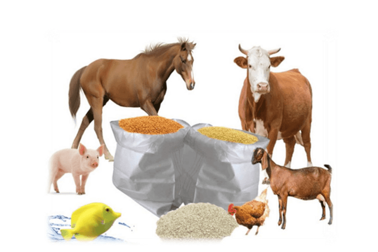 Водич Водич