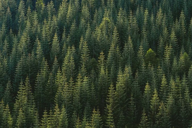 Izvor - Ludens Media