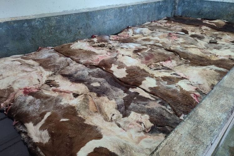 Регистар - Нуспроизводи животињског поријекла