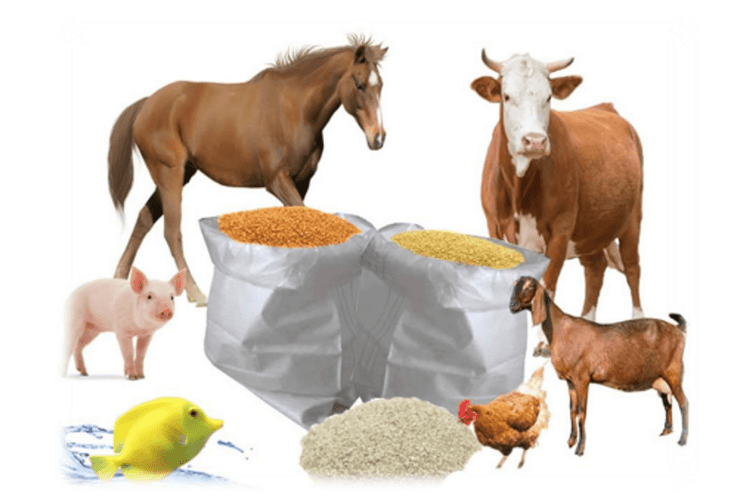 Водичи, препоруке, смјернице