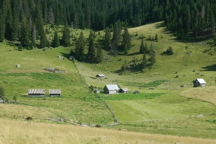„Традиционално сезонско сточарство и живот на катунима, катуновање/издиг“ ново је нематер