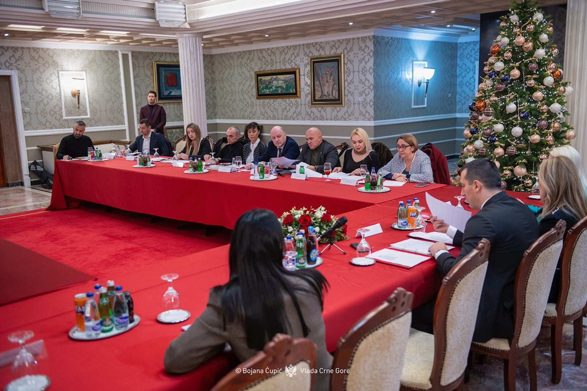 Vlada Crne Gore - fotografija članka