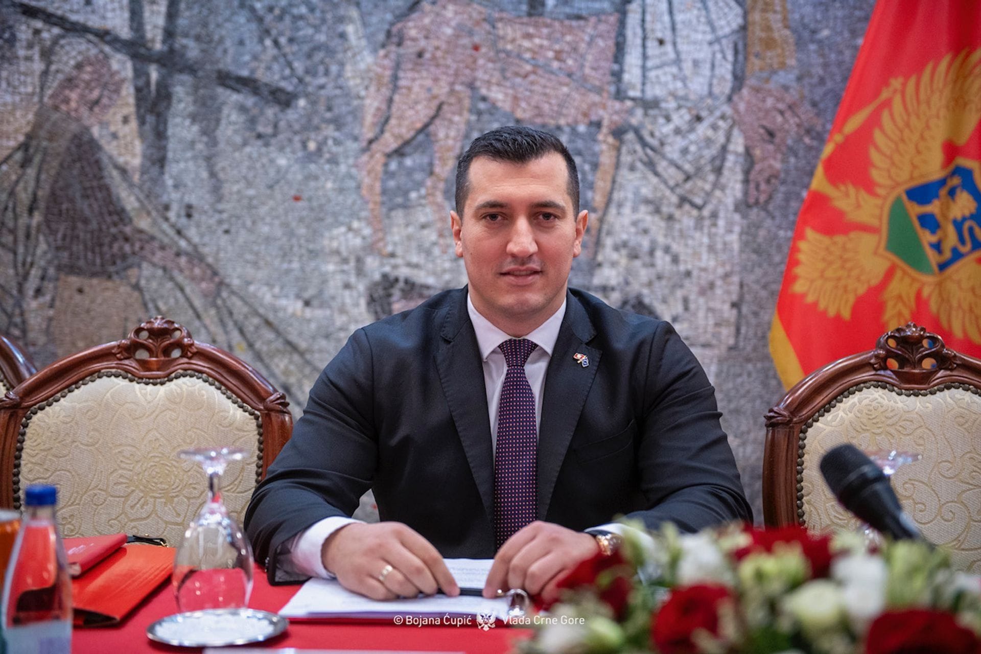 Vlada Crne Gore - fotografija članka