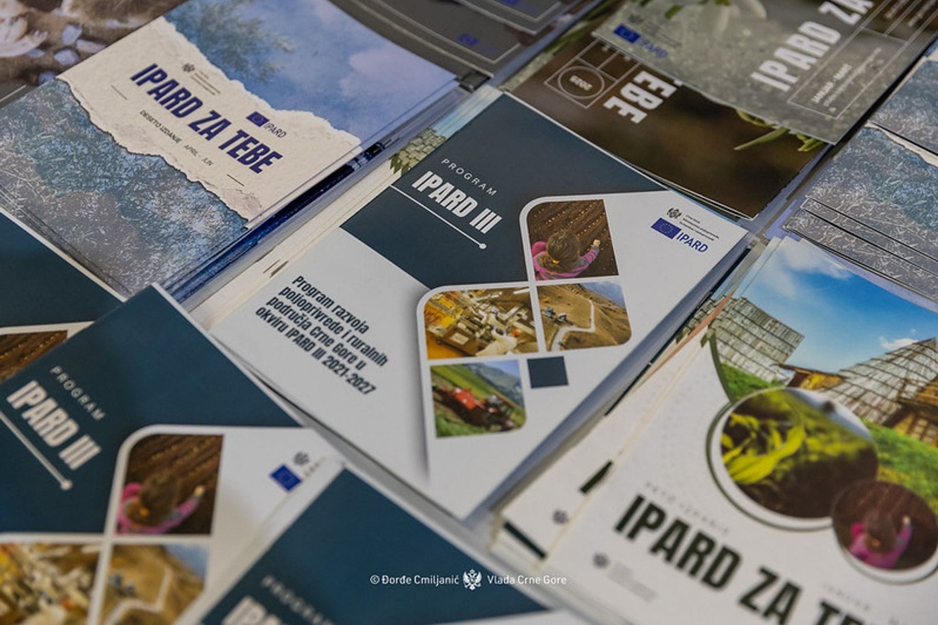 Vlada Crne Gore - fotografija članka