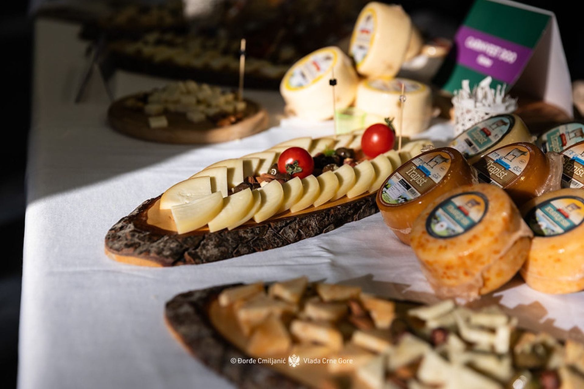 Vlada Crne Gore - fotografija članka