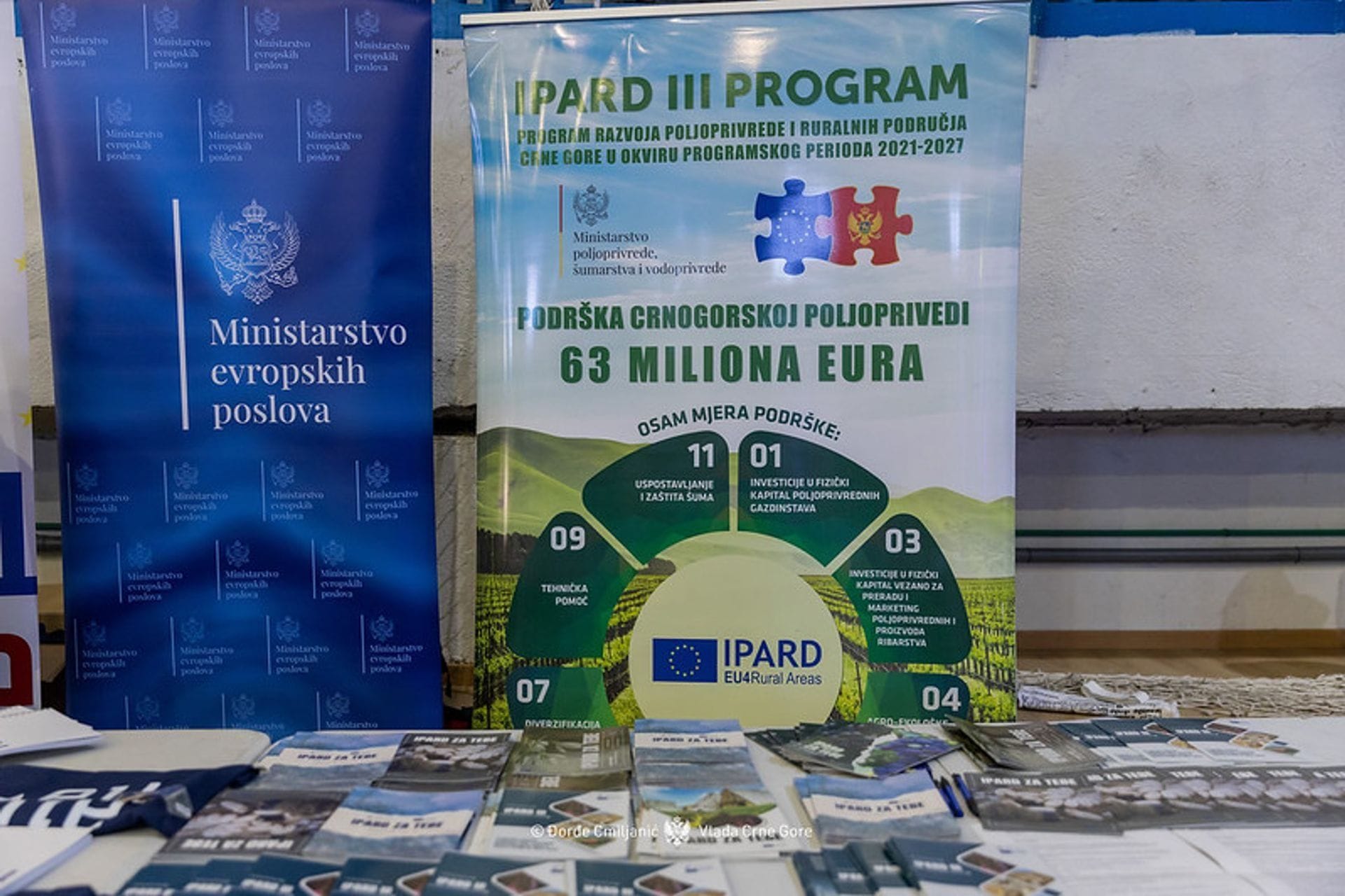 Vlada Crne Gore - fotografija članka