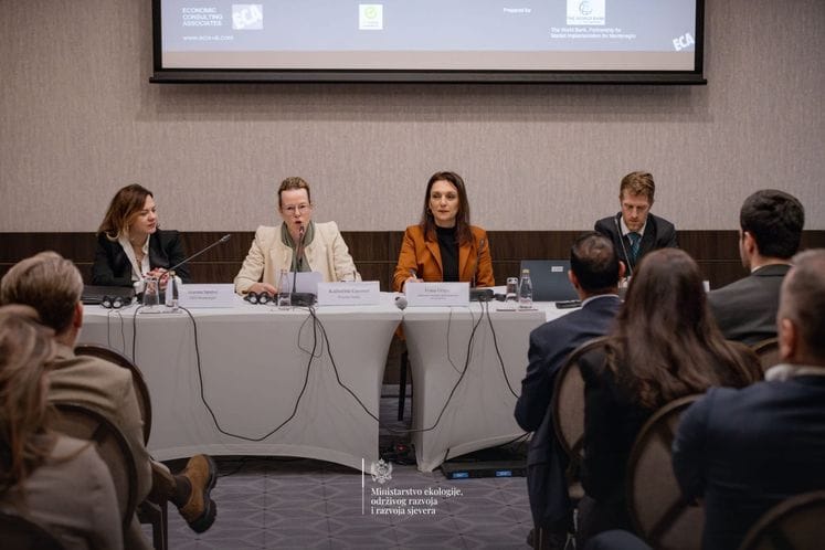 Grujić na predstavljanju finalnog nacrta Strategije niskougljeničnog razvoja: Klimatska tranzicija nije prepreka razvoju, već njegova prilika