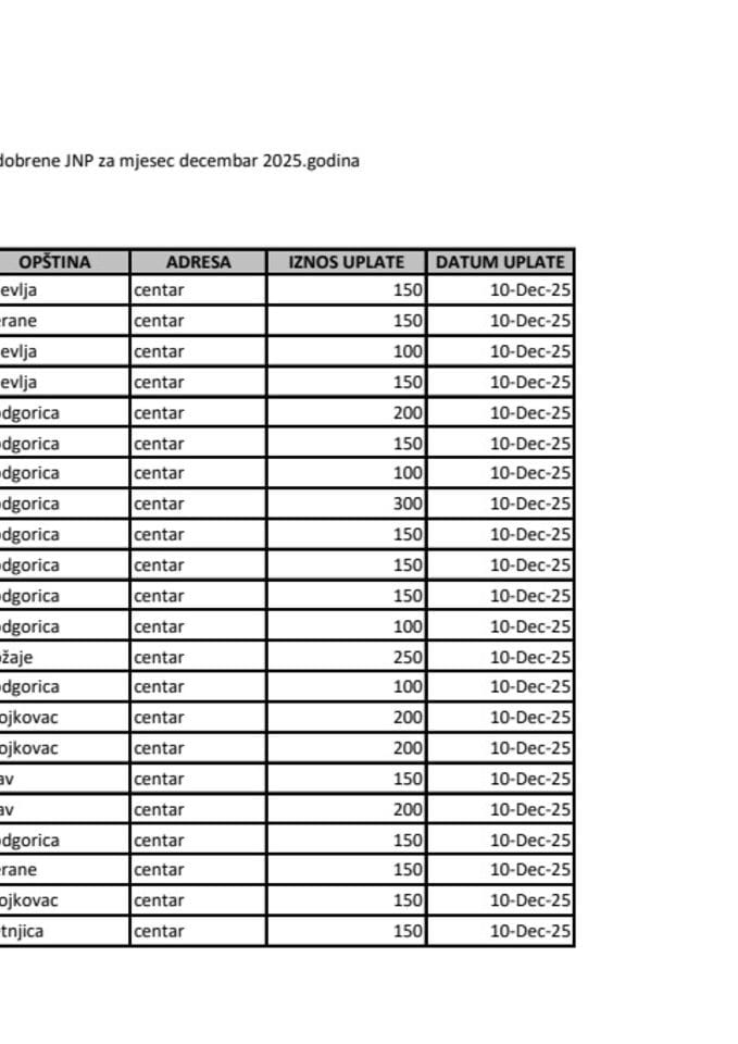 ЈНП ЗА ДЕЦЕМБАР 2025.
