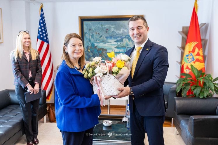 Алекса Бечић - Дз̌уди Рајзинг Ранке