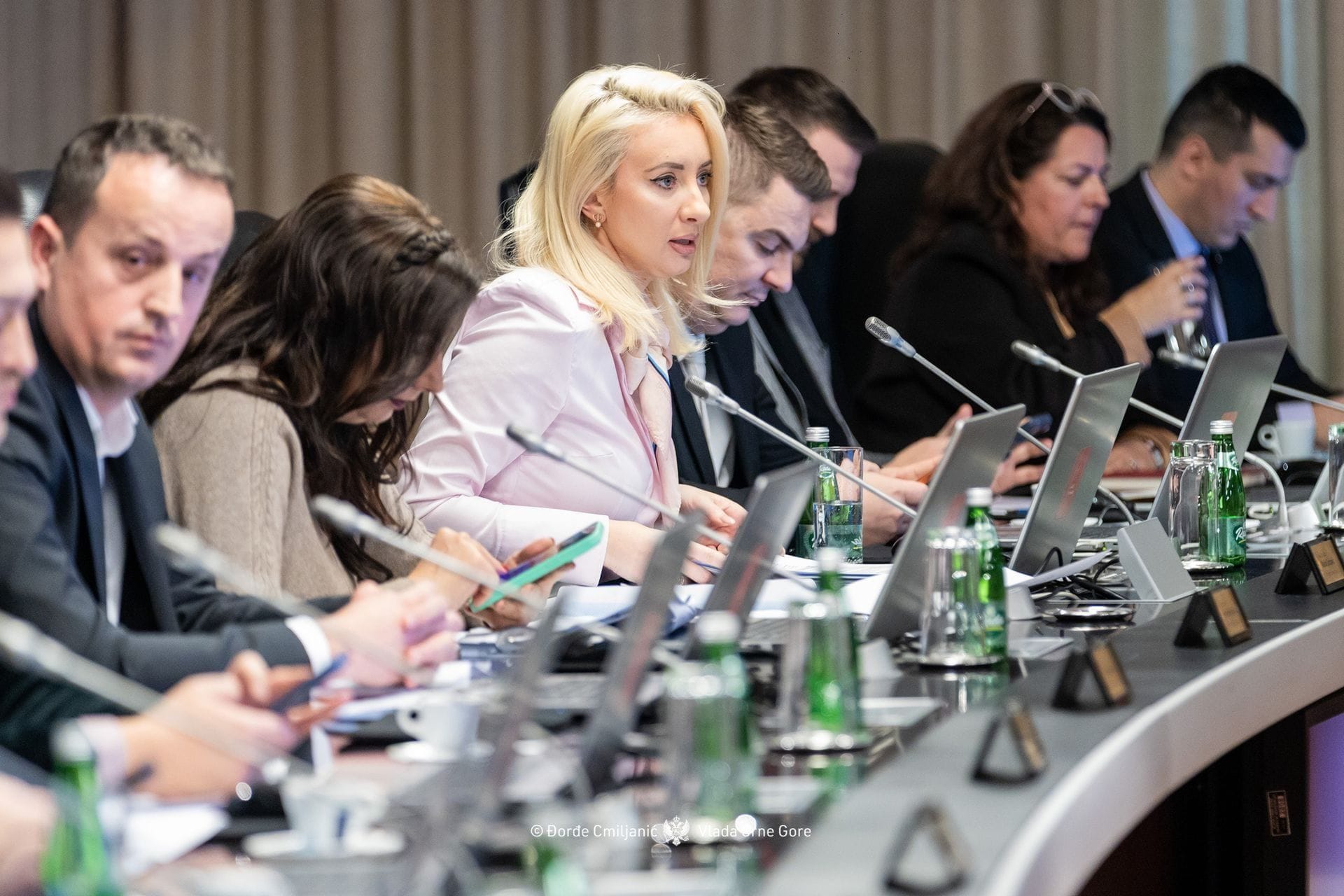 vlada crne gore maida g