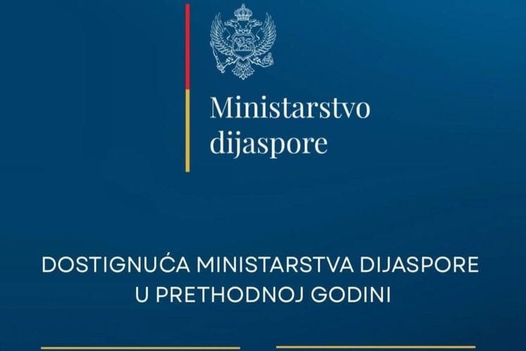 Dostignuća ministarstva dijaspore u prethodnoj godini