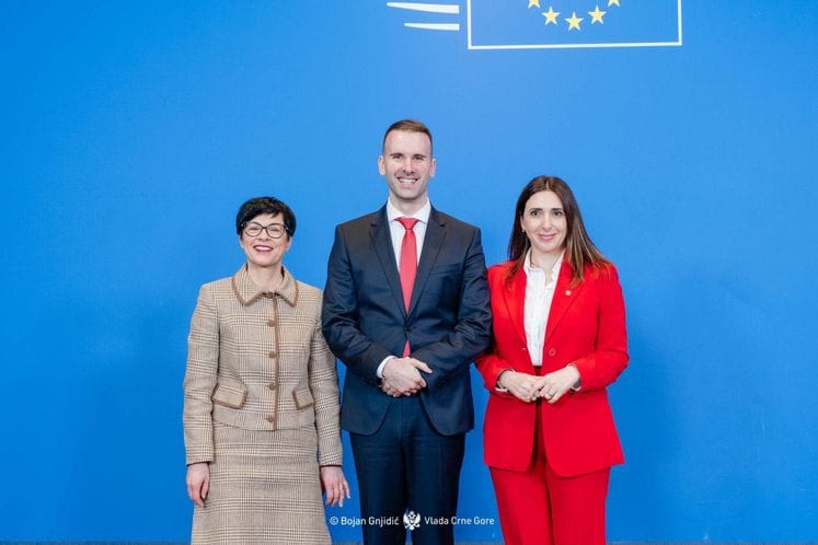 Milojko Spajić - Međuvladina konferencija CG-EU