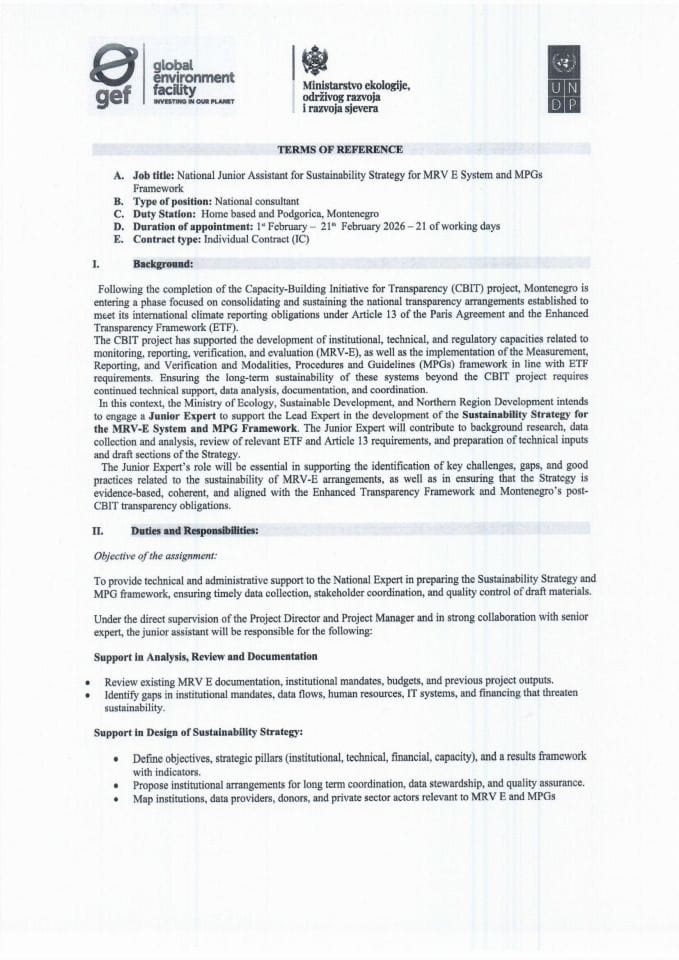 1 ToR CBIT Junior assistant Sustainability strategy