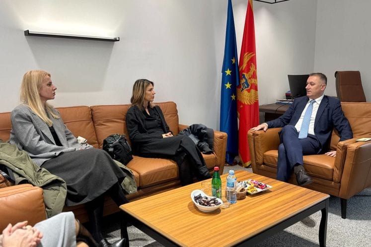 Јачање институционалне заштите жена жртава насиља