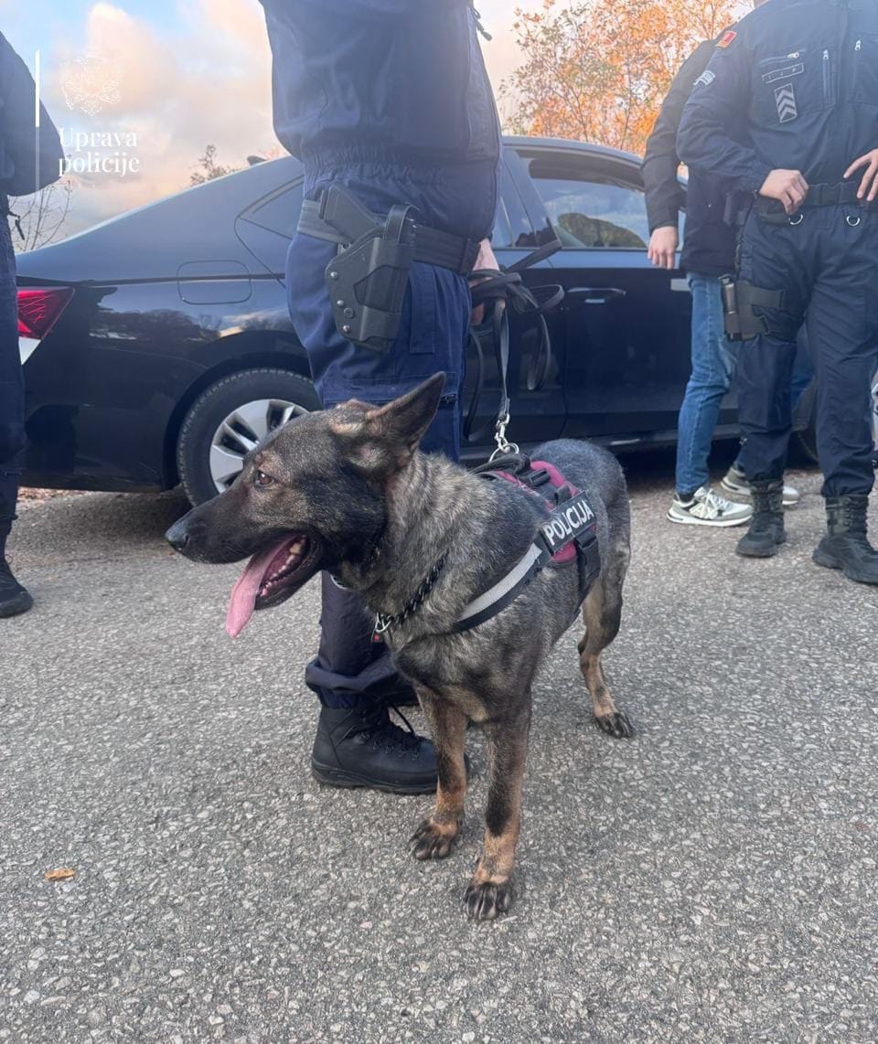 gallery.media[0].alt