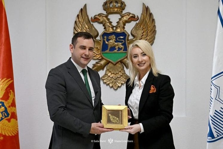 maida gorcevic aleksandar grgurović