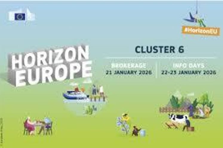 ХЕ Инфо даy Цл6