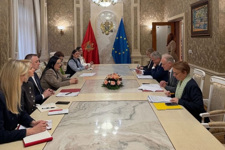 Активности на ПП 19: Састанак министра Гутића са генералним директором ДГ ЕНЕСТ