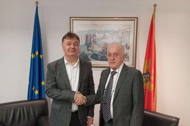 Aleksić - Joksimović