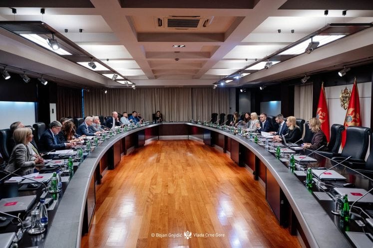 Milojko Spajić - AFET