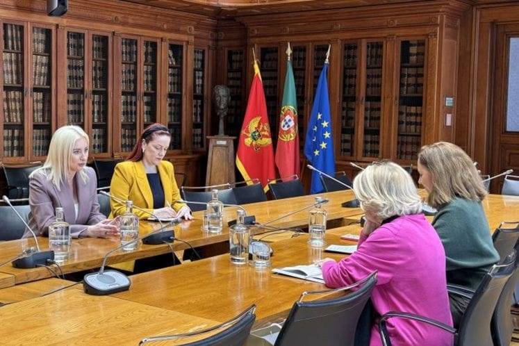 Maida Gorcevic Portugal