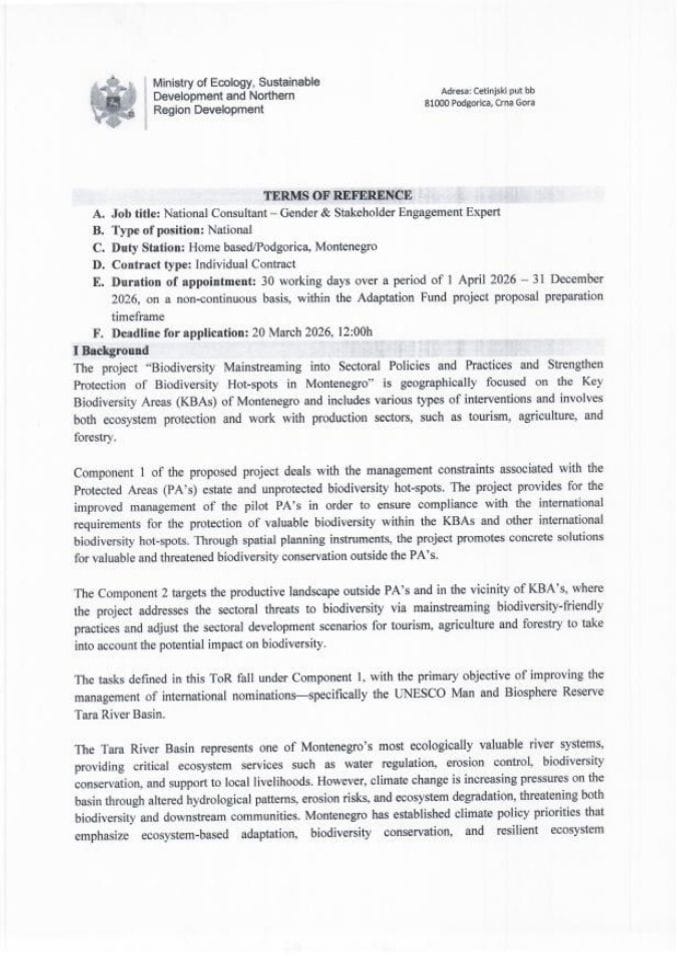 ToR Gender and Stakeholder Engagement