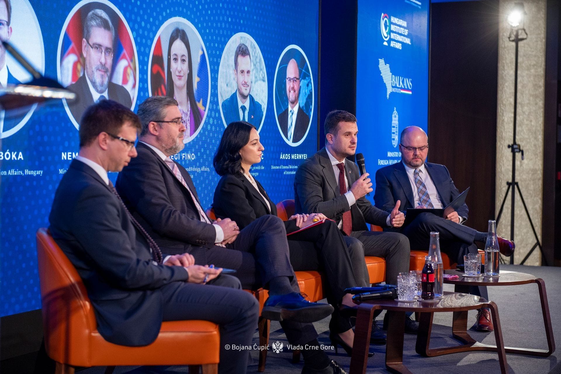 Zenovic panel Budimpesta