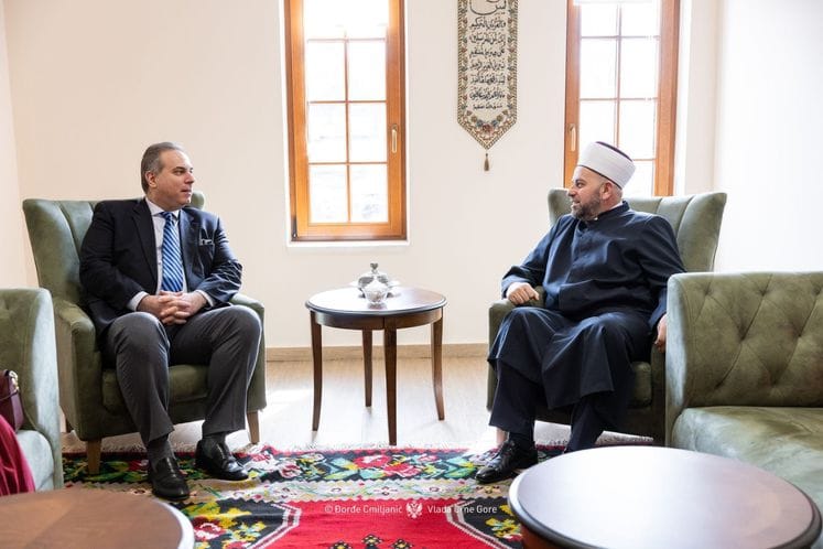 Filip Ivanović - Rifat Fejzić