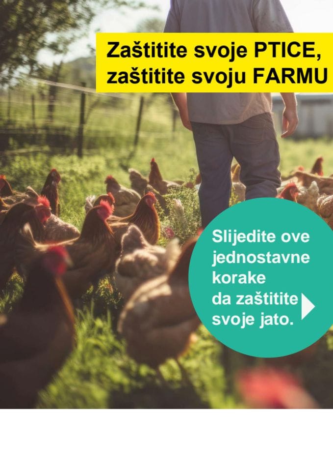 #StopPtičjemGripu - Zaštitite svoju farmu - EFSA preporuke