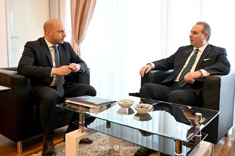 Filip Ivanović - Vladimir Obradović, RYCO Secretary General