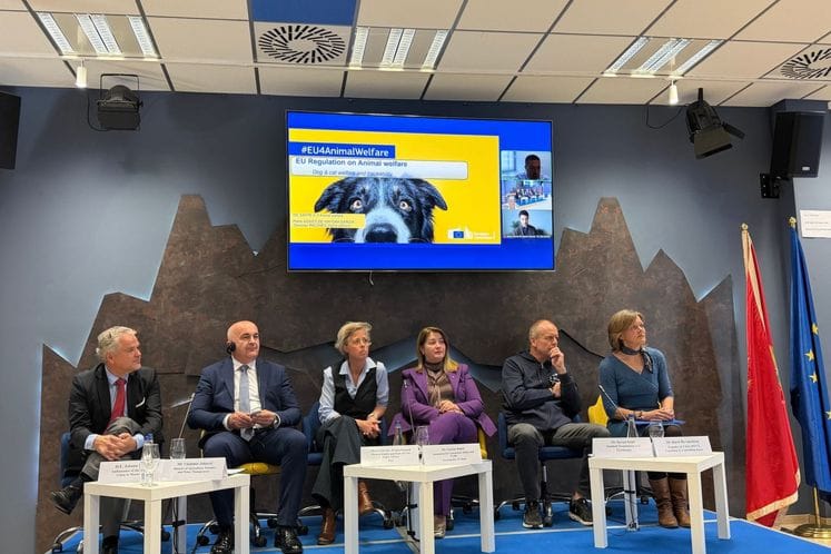 Evropska kuća - sastanak