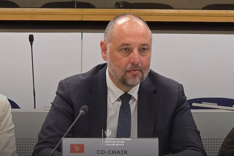 Vitomirović: Crna Gora u potpunosti posvećena ispunjavanju svih obaveza do kraja godine