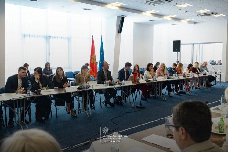 Ministar Ćulafić na Odboru za stabilizaciju i pridruživanje između CG i EU: Intenziviramo usklađivanje i implementaciju obaveza u okviru Poglavlja 27