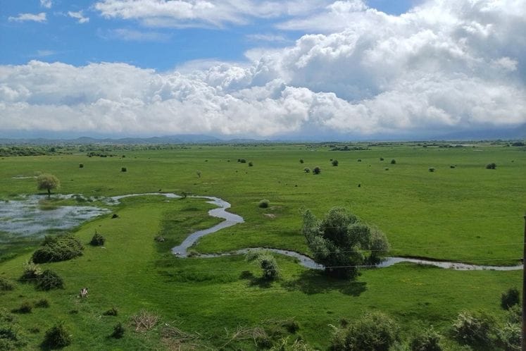 Ustupanje ribolovnih voda na korišćenje