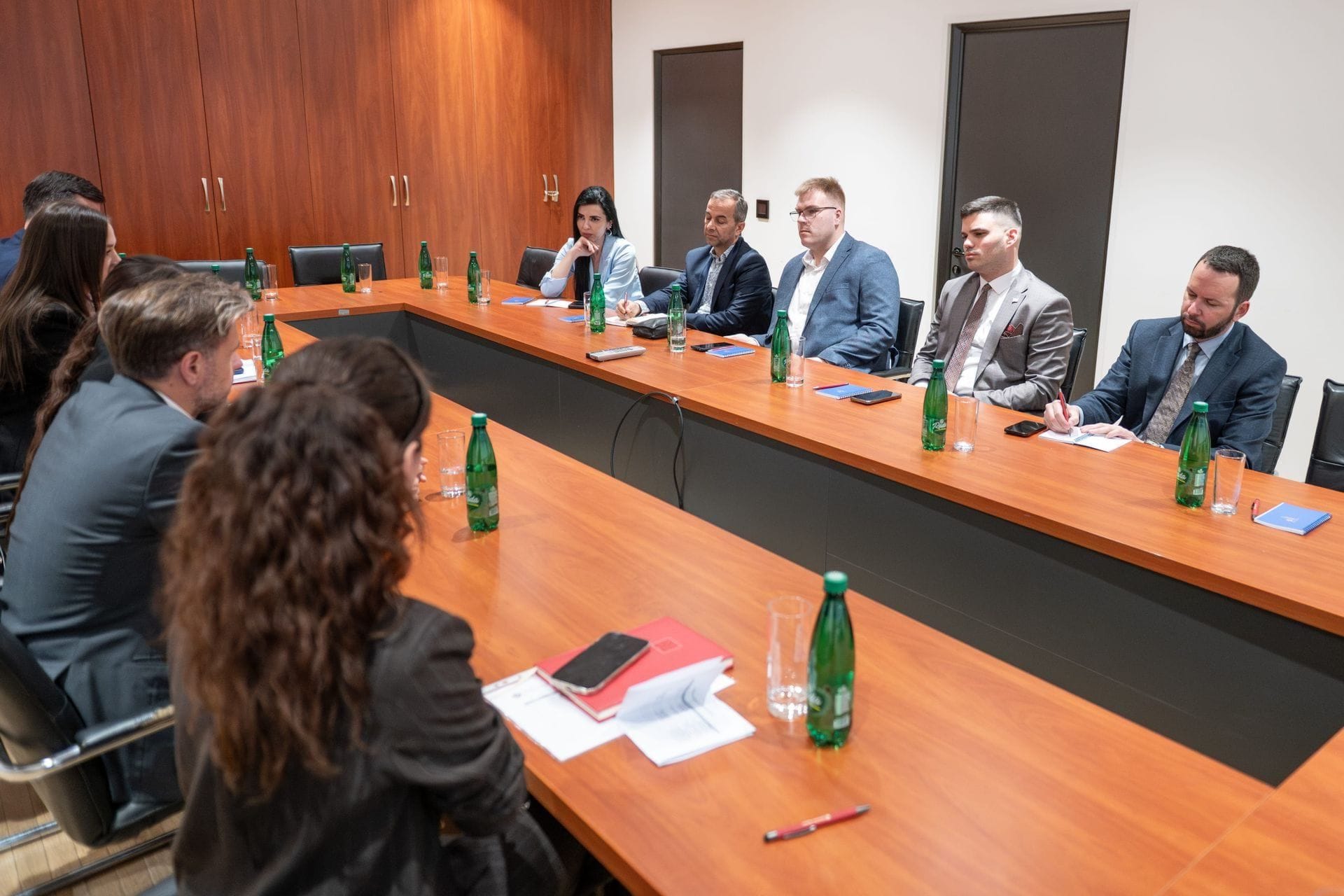 Dani dijaspore u fokusu