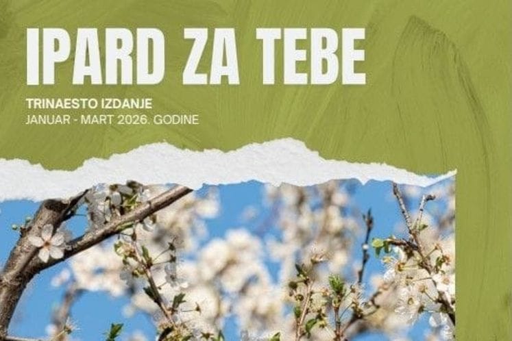 Naslovna bilten broj 13