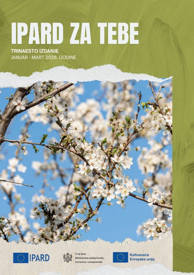 Bilten broj 13 - januar-mart 2026.