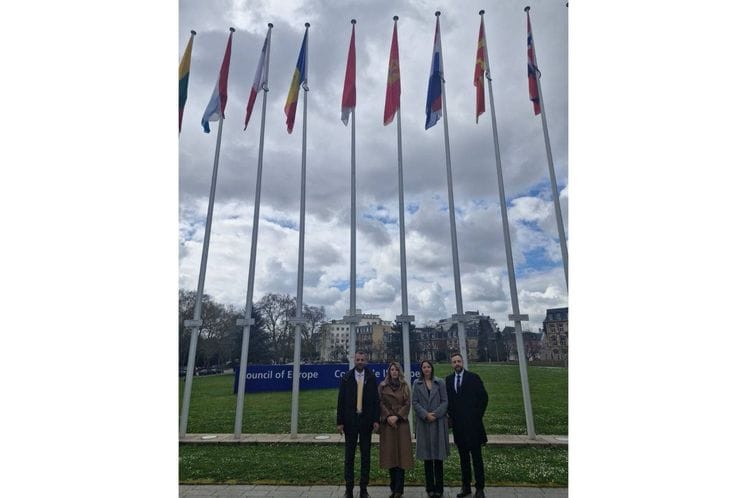 Delegacija Vlade Crne Gore u Strazburu